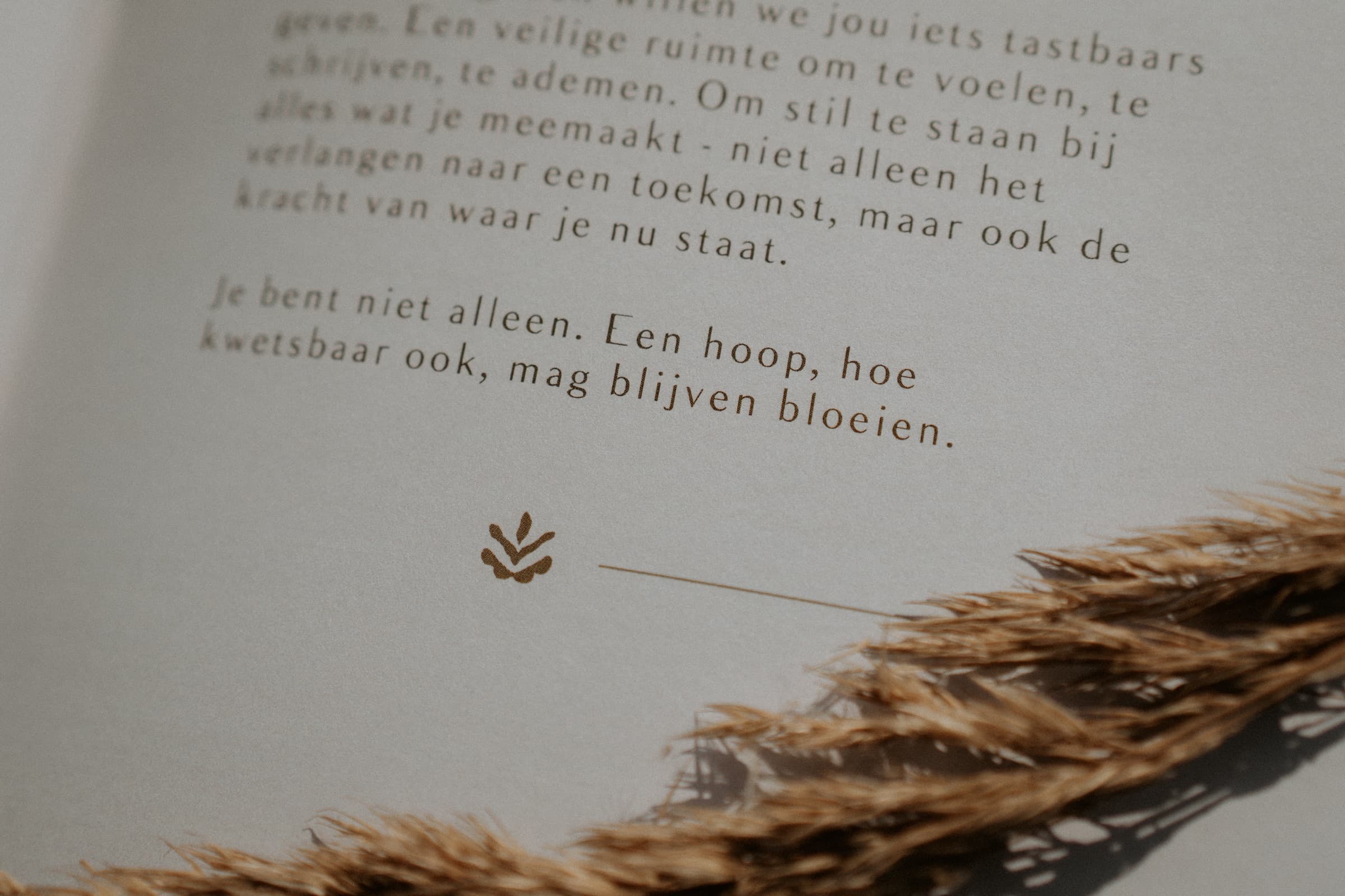 Slotzin: een hoop mag blijven bloeien